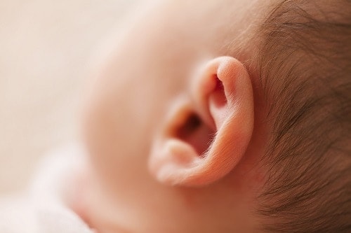 ears of a baby