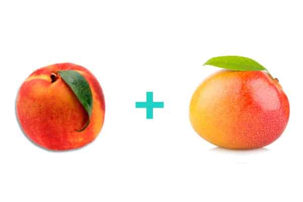 Homemade Peach and Mango Baby Food Recipes | Parent Guide