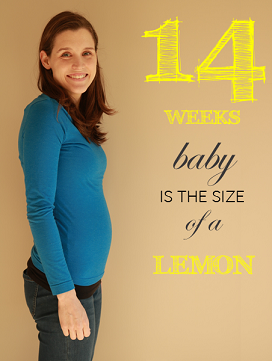 14 weeks pregnant