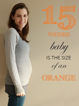 15 weeks pregnant bump