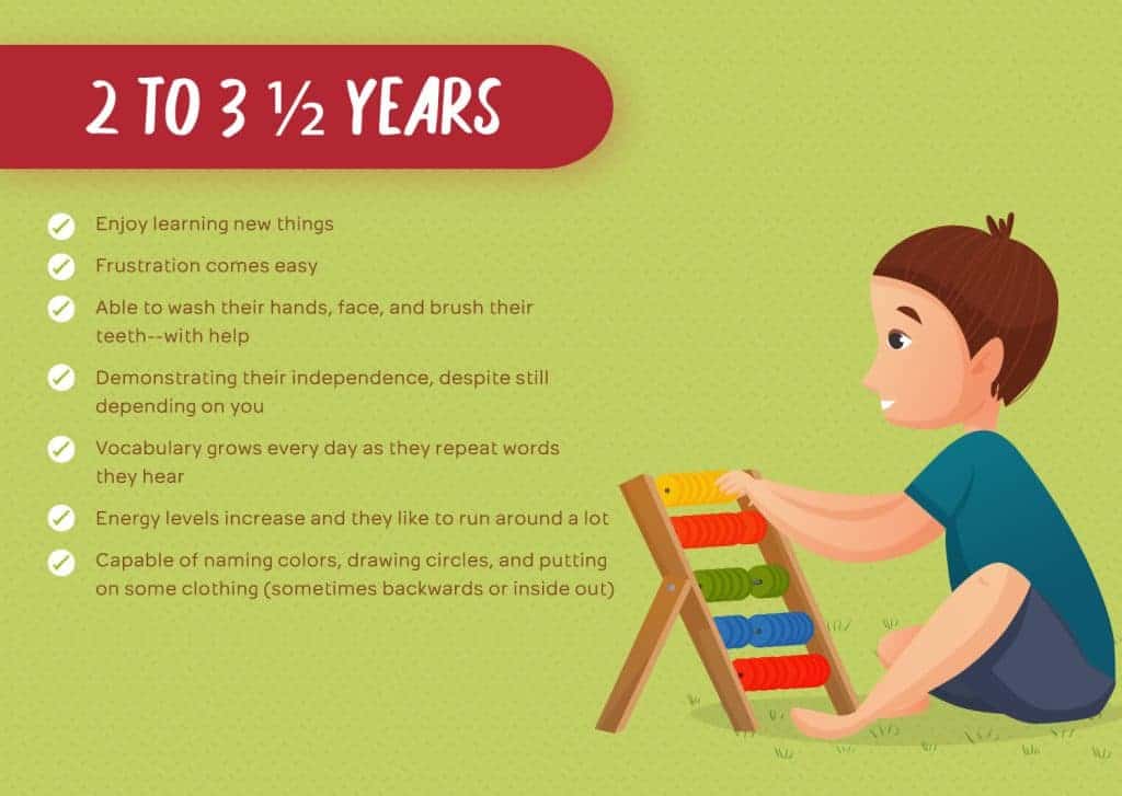 2 to 3 ½ Years