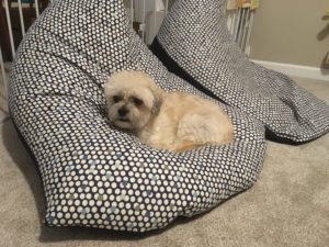 Playroom Ideas Entertain Toddler