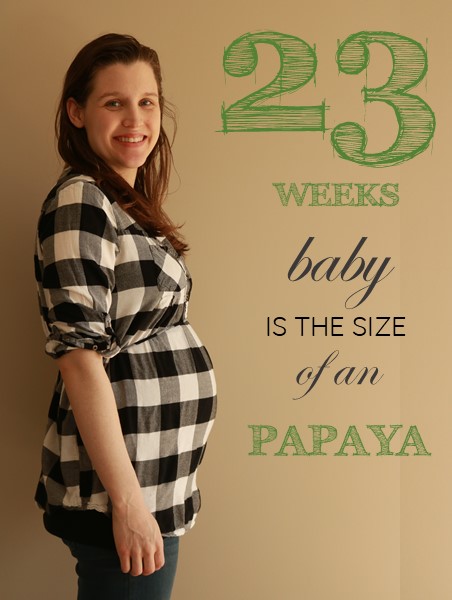 23 weeks pregnant