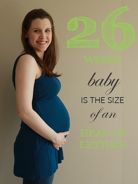26 weeks pregnant