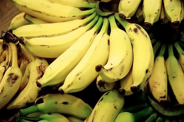 Bannas