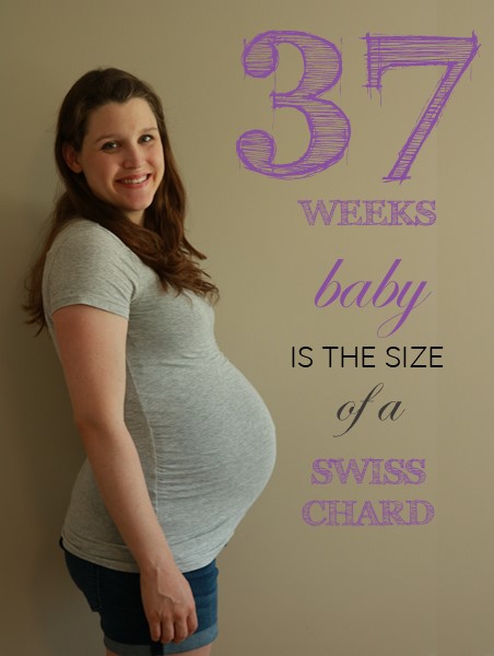 37 weeks pregnant baby bump title image