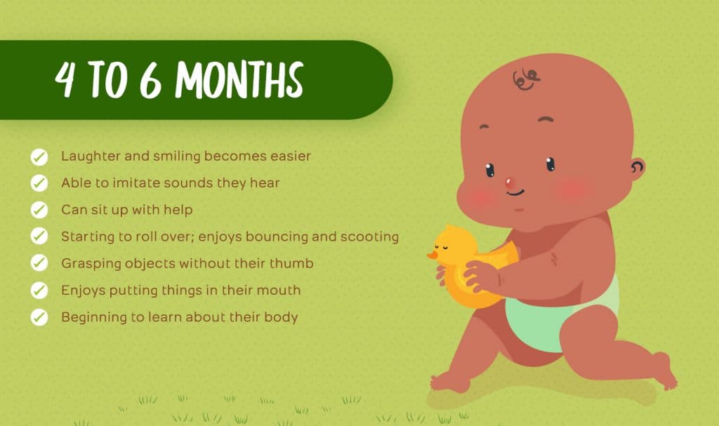 4 to 6 Months