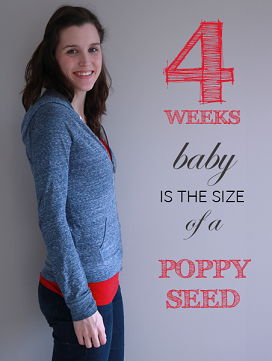 4 weeks pregnant bump