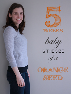 5 weeks pregnant bump