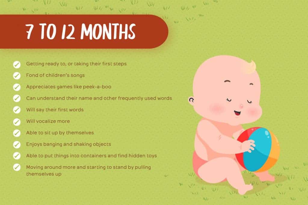 7 to 12 Months