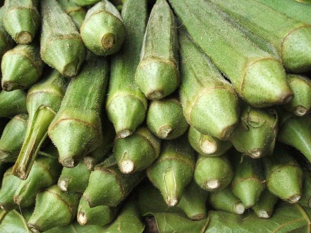 Okra