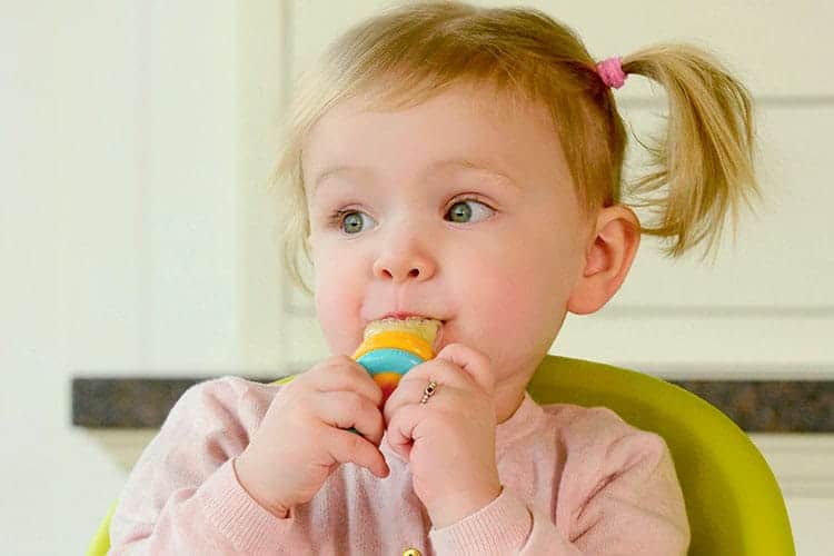 baby gnawing on kidsme baby food feeder