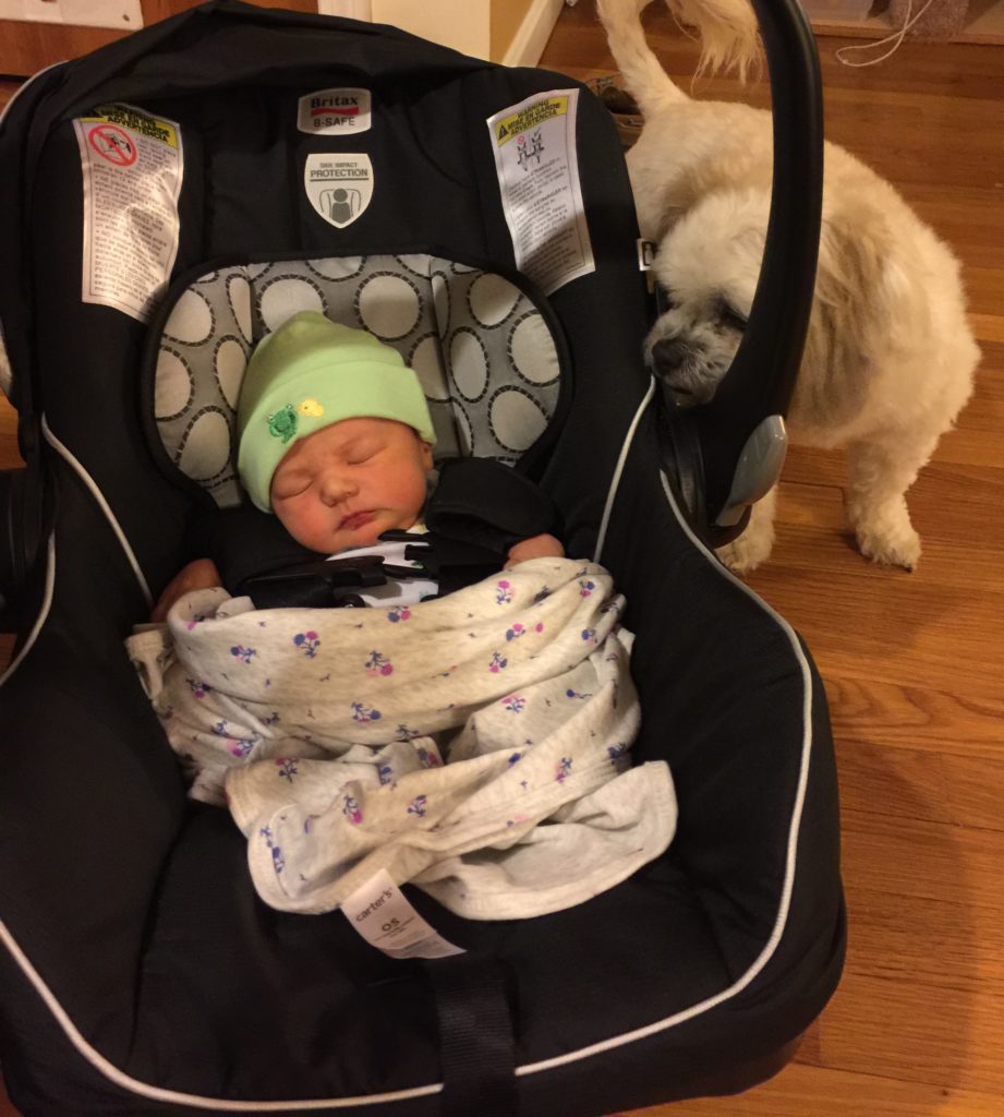 Birth Story