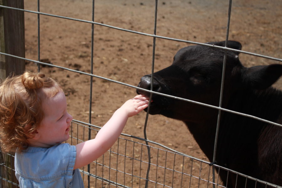 Explore Philly with Toddler