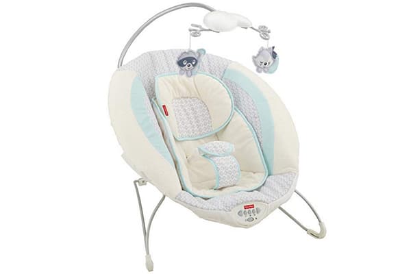 Fisher Price Moonlight Meadow Deluxe Bouncer