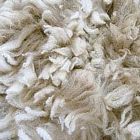 Fleece Sheet