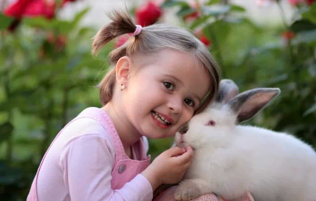 Little girl holding a rabbit