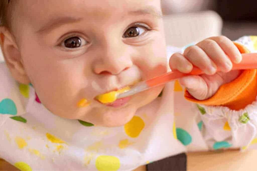 organic food
