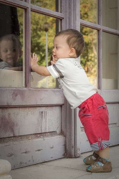 Baby try to push the windows