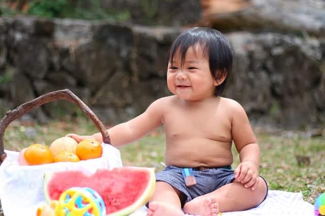 Baby Picnic
