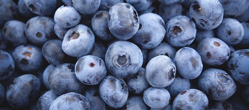 bunch on blueberries, upper shot
