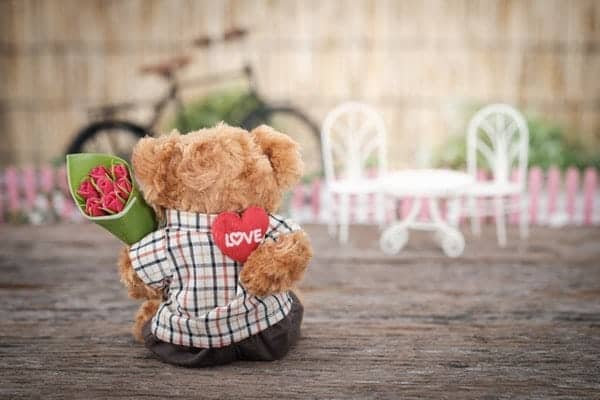 Brown bear plush toy holding red rose flower