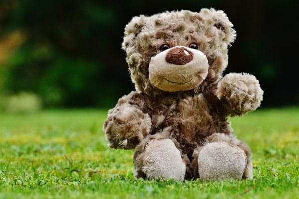 Brown Teddy bear sitting on grass