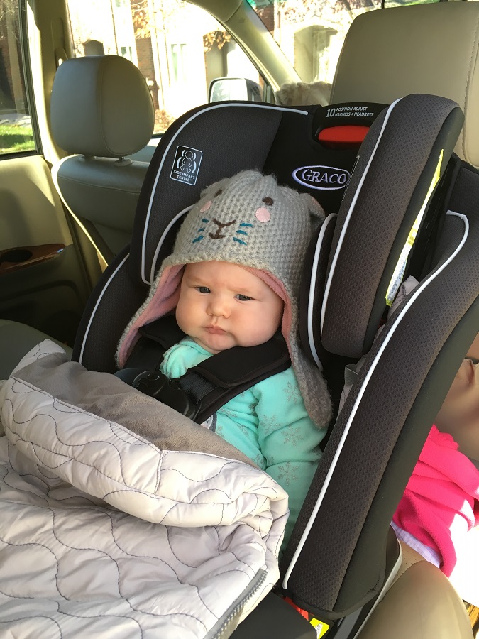 car seat bunting image