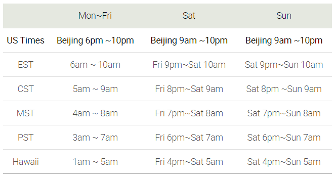 vipkid teacher in action