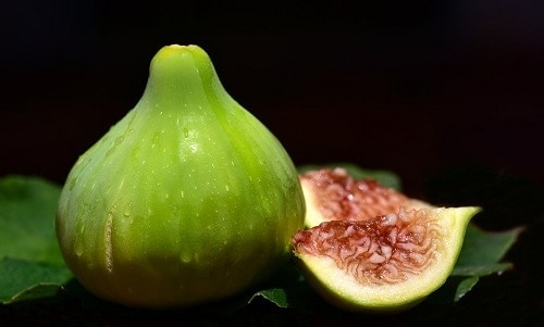 Fig fruit with black background