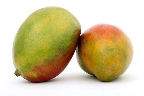 two half-ripe mango
