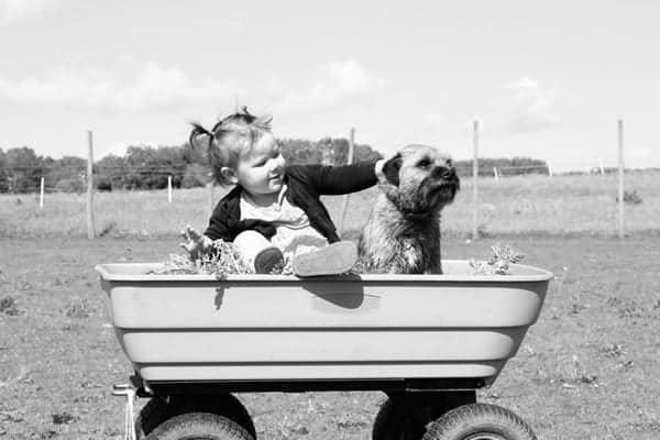 Girl Holding Puppy on Wagon