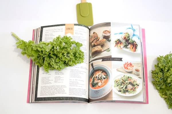 Green leaf on cookbook