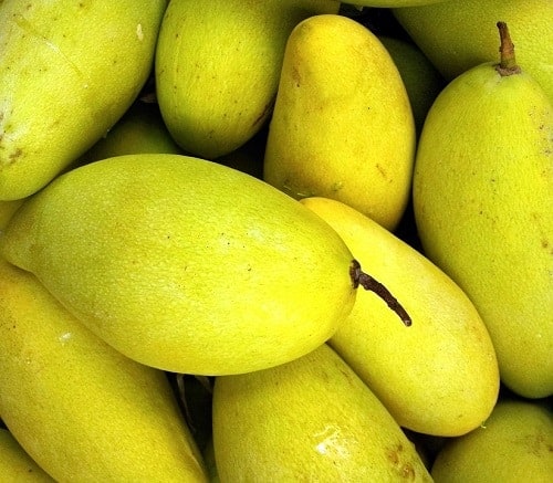 bunch of green mango