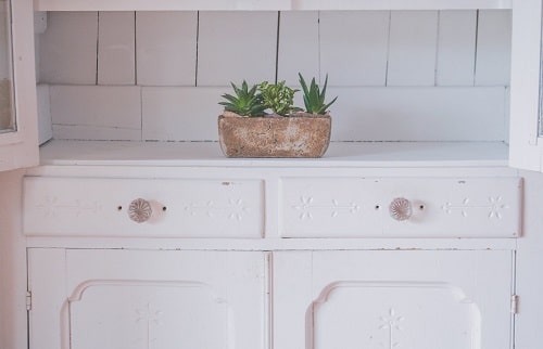 white cabinet with plant
