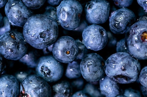 bunch of blueberries
