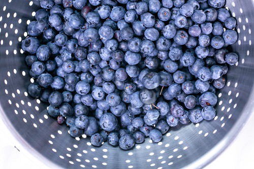 blueberries in stainless steel bowl