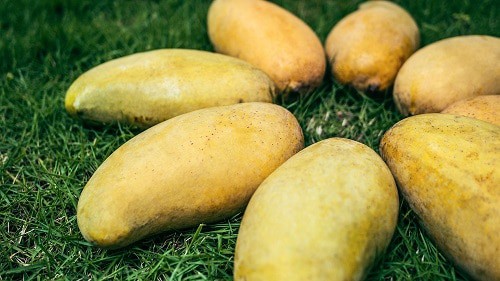eight yellow banana fruits