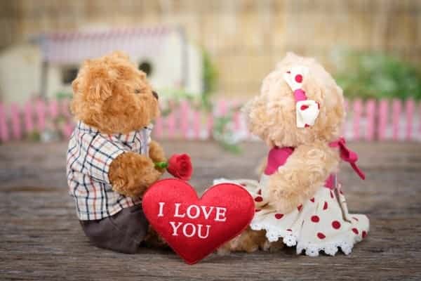 Teddy Bears