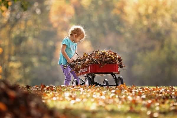 Child PushingTthe Wagon