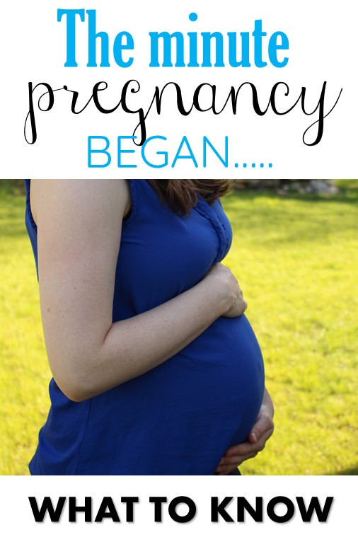 positive pregnancy test new pin image