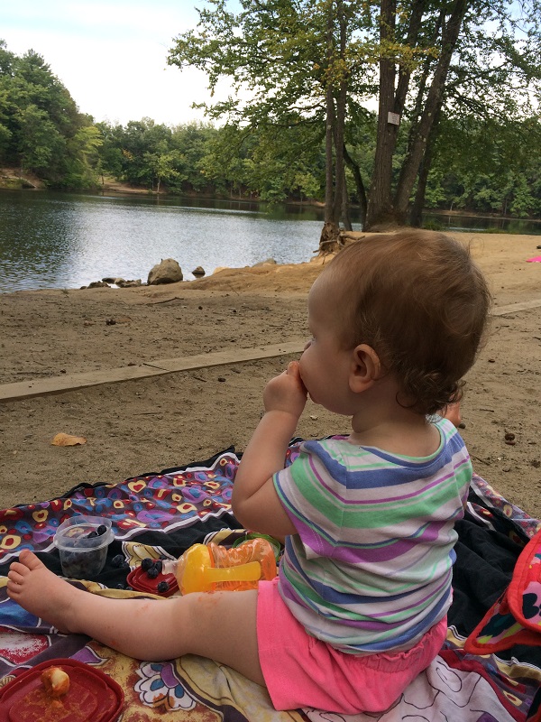 puffers pond amherst