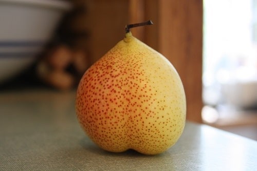 Pear fruit on a grey panel