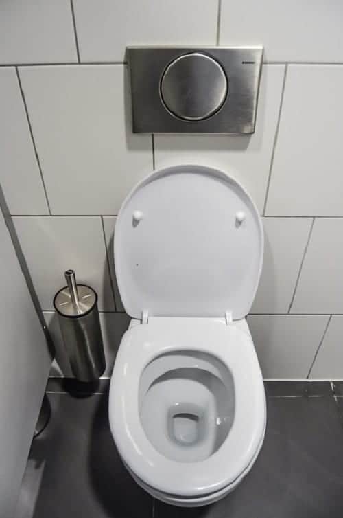 toilet bowl