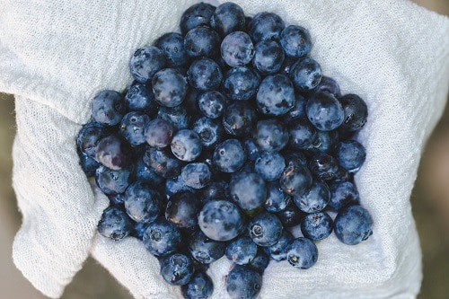 blueberry in white textile
