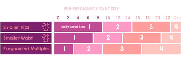 pants to belly band size chart