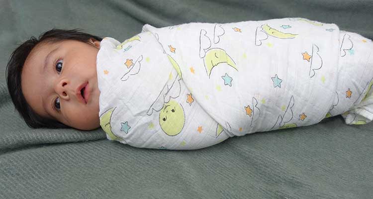 Baby boy wrapped in organic aden and anais swaddle blanket