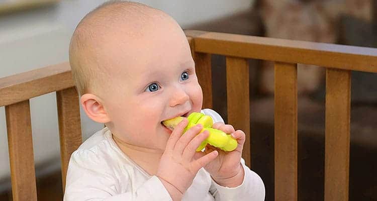 baby eating from a silicone baby food feeder