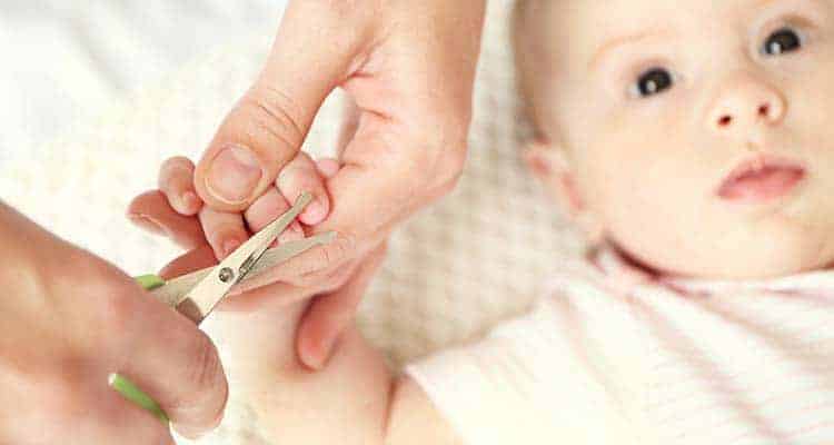 Cutting baby fingernails with nail scissors
