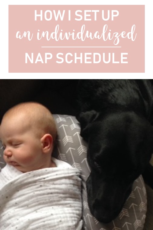 baby nap schedule pin image